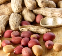 Report on two traceability pilot projects released by FDA