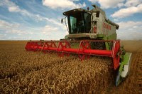 Weather and political tensions impact food markets but cereal stocks remain adequate