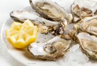 Oysters and Vibriosis