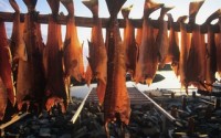 Russia bans 485 Norwegian seafood companies