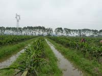 Sino Agro Food announces financial results for the quarter ending March 31