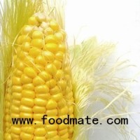 Food boom may bring cheaper prices, says US professor
