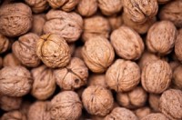 Eating walnuts may cut type 2 diabetes mellitus risk