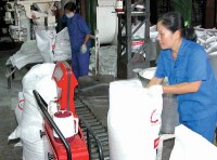 Vietnamese sugar inventory continues to rise