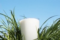 State Tests Find Listeria Contamination in Raw Milk From South Dakota Dairy Farm