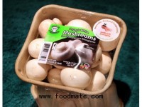 Earthcycle launches compostable packaging with increased water resistance
