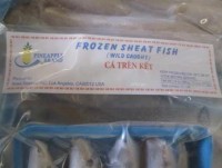 H & T Seafood Recalls Siluriformes Produced Without Inspection
