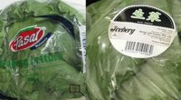 Singapore recalls Malaysian iceberg lettuce over pesticide content