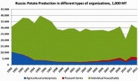 Overview of potato supply and demand in Russia