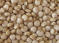 Quinoa's nutritional benefits