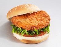 Spicy Chicken Filet for Foodservice