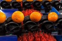 New series of RDS sorting machines perfect for citrus fruits