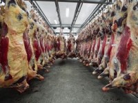 Chinese Beef Imports Set to Double