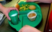 Ministers urged to look at school meals quality due to horsemeat scandal