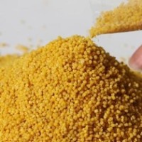Research shows great promise for millet grains