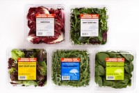 Coolibah Herbs ready for expansion in Asia