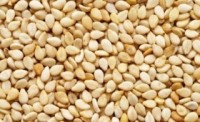 Salmonella linked to tahini sickens 8 across country