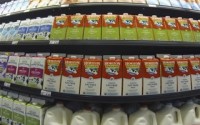 Non-dairy calcium seen to lower kidney stone risk