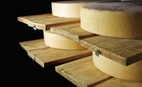 Consumers Warned Not to Eat Roos Foods Cheese Due to Listeria Risk