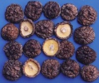 Boost overall health by eating reishi mushrooms