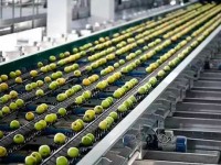 Why the huge price gap between imported and domestic fruits?