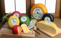 Gort’s Gouda raw cheese outbreak sickens 21 with E. coli, one dead