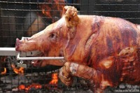Pig Roasting and Food Safety