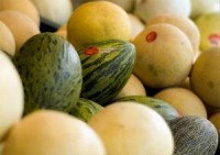 Carbofuran traces found in Spanish melons in the Netherlands
