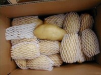McCain acquires Belgian potato processor
