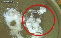Namyang Dairy Products under probe over frog in baby formula