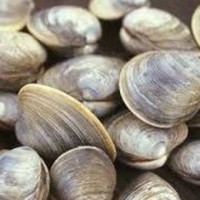 Canada issues recall of certain littleneck