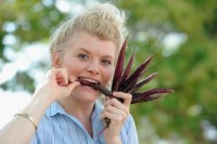 Purple carrots, plums help people lose weight
