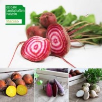 Colorful beetroot varieties from north German fields are very popular