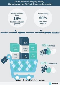 Refrigerated containers made up 19% of SA exports in 2016