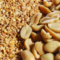 The flavour of nuts - with no nuts