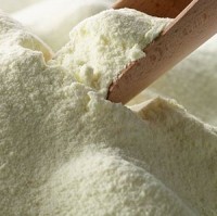 Dairy alternatives leading milk growth