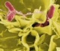 Illumina secure five year, $17m FDA contract