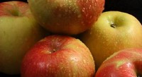 Alar Apples Case Precedence for BPI v. ABC