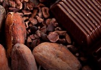 Eight reasons why pregnant women should eat chocolate