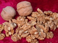 Why walnuts are the ultimate brain food
