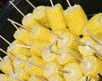 Could GM foods be responsible for record low birth rate in the U.S.?