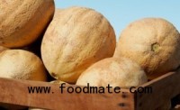 Is Pasteurization the Answer to Killer Cantaloupes?