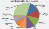 Global apple production markets