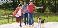 Nestlé Making Progress Towards Healthier Products
