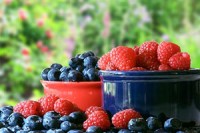 German Soft Fruit Yield Up 17% In 2013