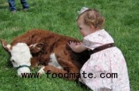 Cleveland County Fair E coli Toll 37 Sick 1 Dead