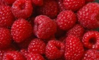 Last big cyclospora outbreak was traced to guatemalan raspberries