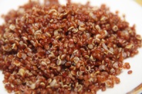 Quinoa may have positive effect on digestion for Coeliacs