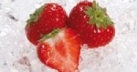 GEA strengthens freezer efficiency