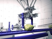Robotic system removes lettuce cores for the ready-to-eat market
